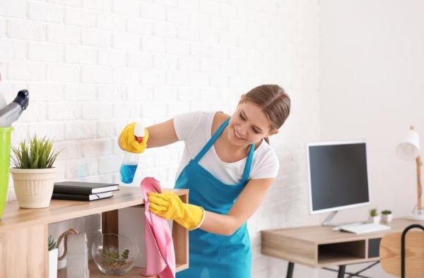 Mac Cleaning Services