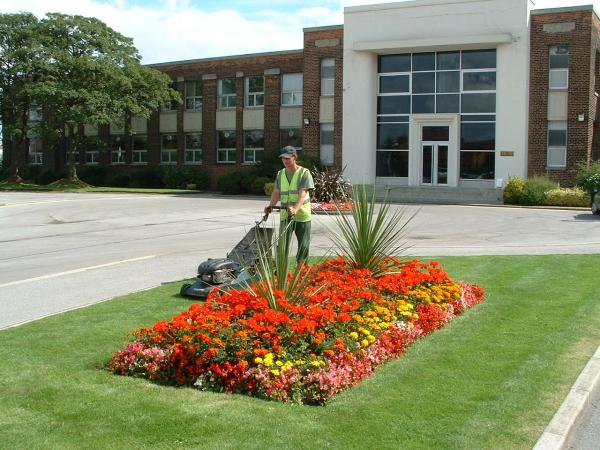 Wintergreen Groundcare Limited