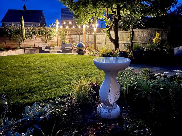 Hummingbird Garden Design