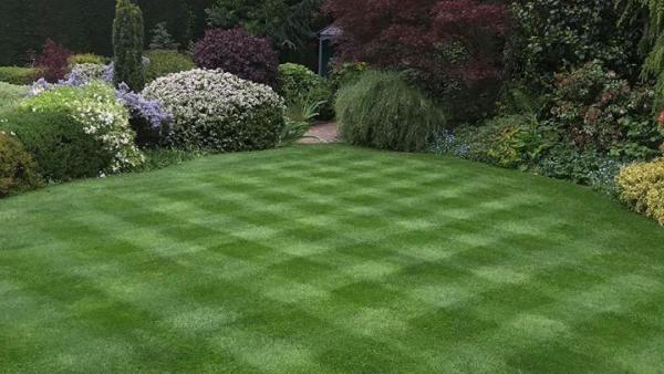 Lawns Matter