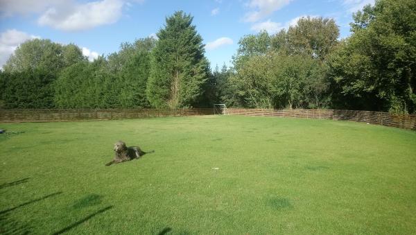 AJT & Sons Garden and Home