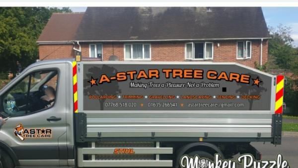 A Star Tree Care