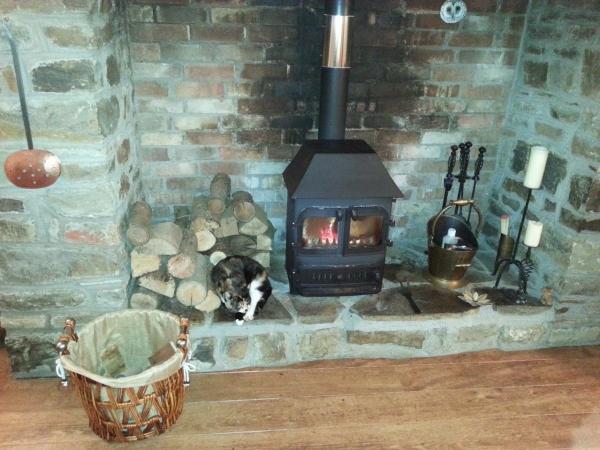 David Balchin Chimney Sweep