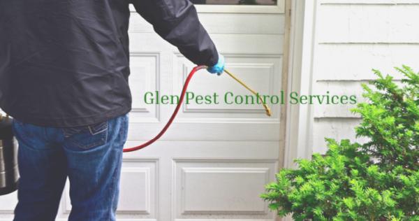 Glen Pest Control Services