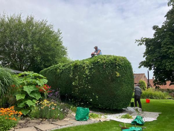 Bempton Garden Maintenance