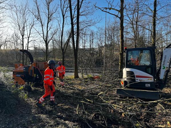 Northernarb Tree Services Ltd.