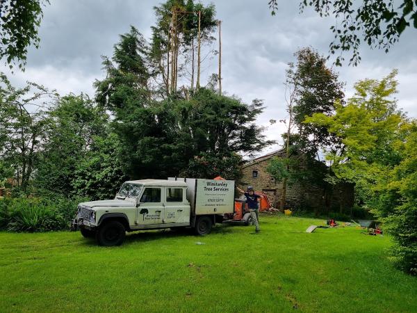 Winstanley Tree Services