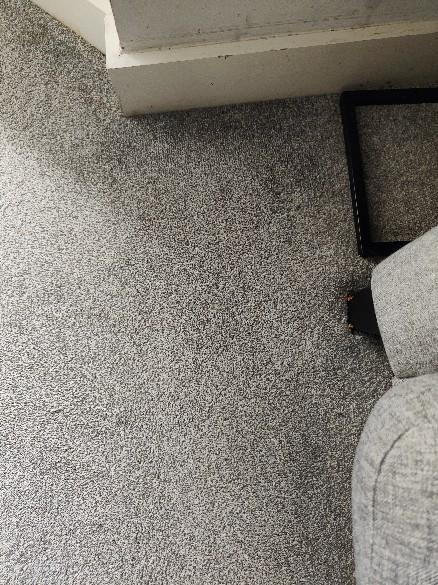 Zero Dry Time Carpet Cleaning Farnham