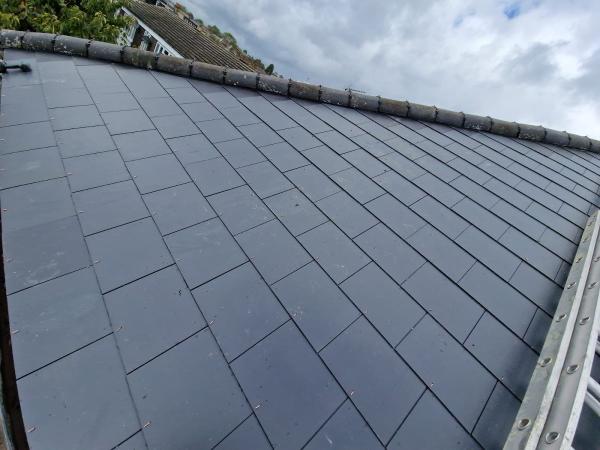 Alpha Roofing & Guttering Ltd