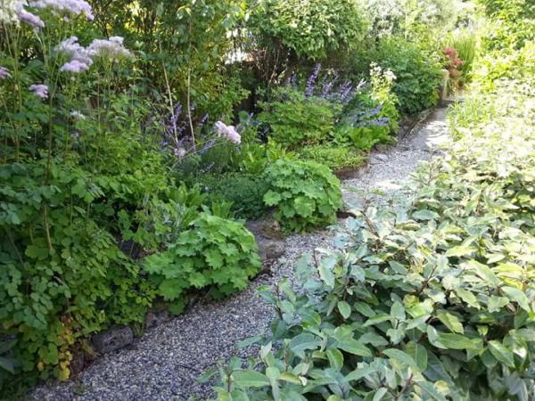 Bracken Lane: Wildlife Gardening and Design