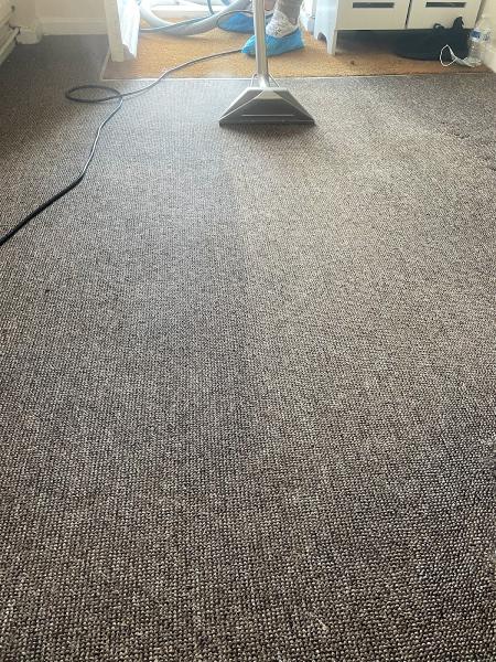Carpet Cleaning in Colindale