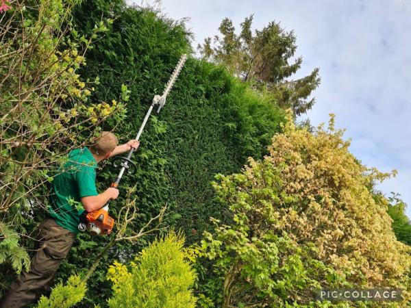 KH Garden & Tree Services