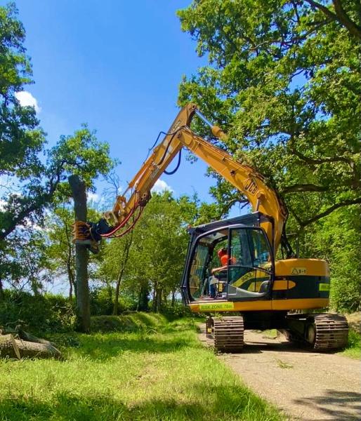 D Howick Tree Surgery