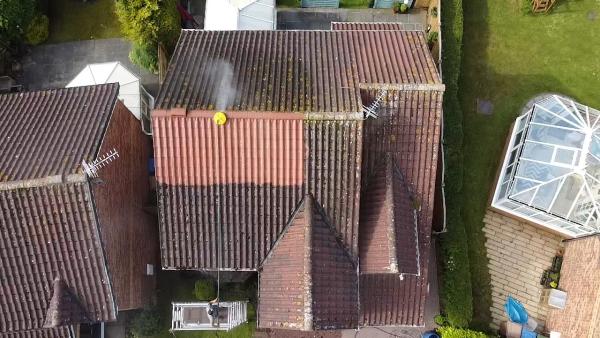 Elephant Exterior Cleaning