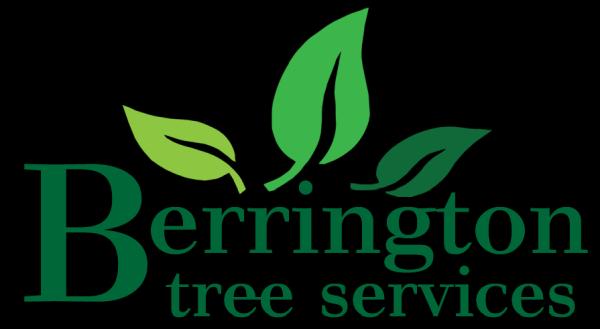 Berrington Tree Services