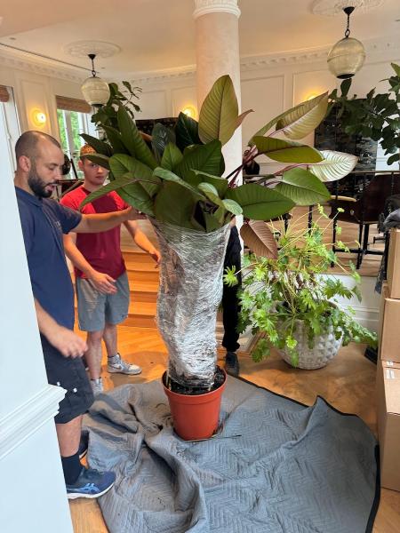 UKR Logistics LTD / Removals & Storage