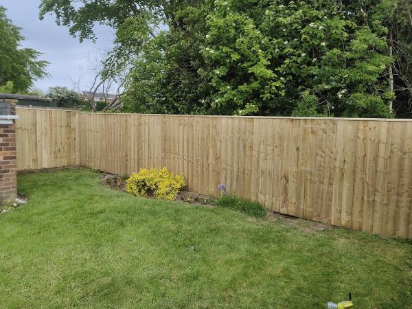 D Tait Builders & Property Repairs