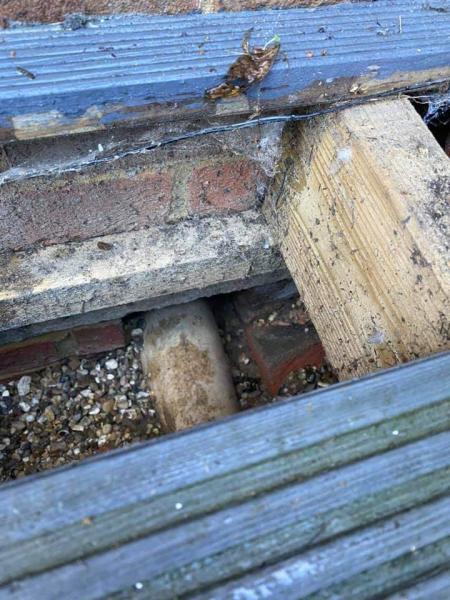 Pest Control Wasp Nests Destroyed