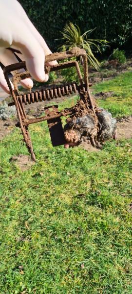 Mole Catcher Surrey