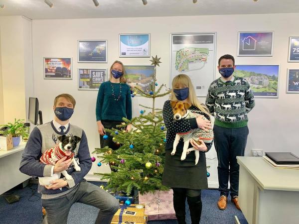 Bradleys Estate Agents Honiton