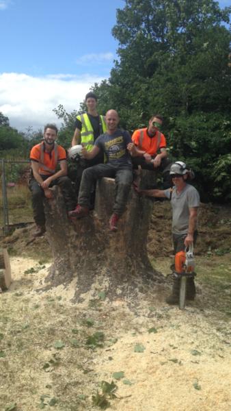 Arboricultural Operatives