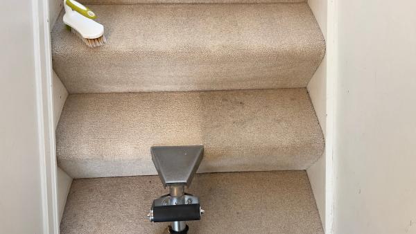 Superb Carpet & Upholstery Cleaning