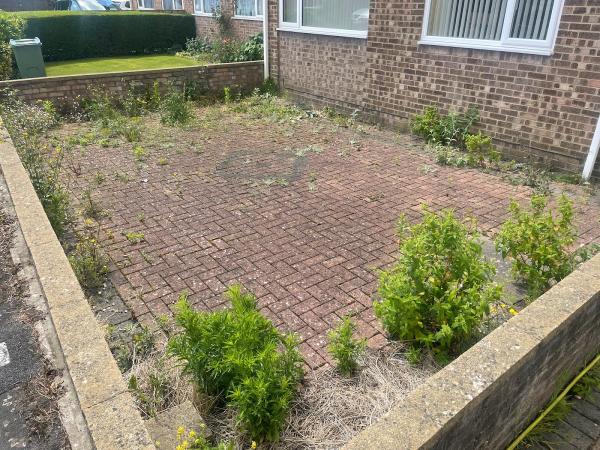 Powerclean Patio and Driveway Cleaning