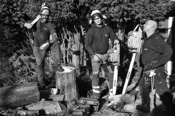 Bristol Arboriculture