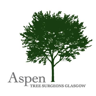 Aspen Tree Surgeons Glasgow