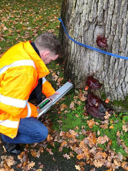 TMA Environmental Consultants