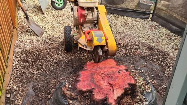 Treemendous Stump Grinding