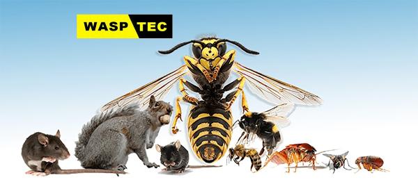 Wasptec