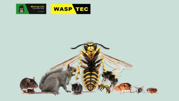 Wasptec