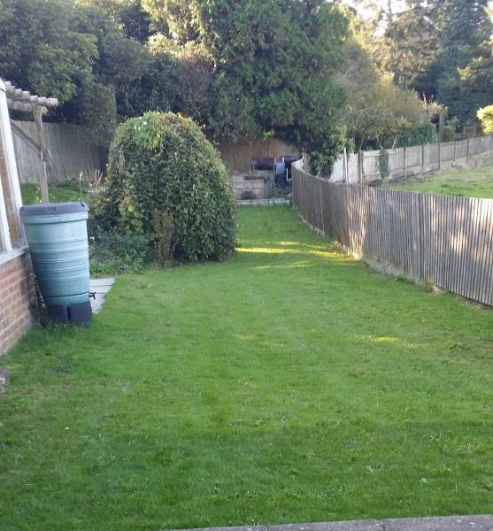 Ma-Services Garden Maintenance Services