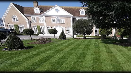 Level Lawns and Landscaping