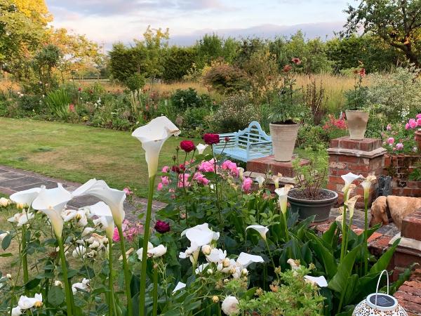 My Country Garden Design Solutions