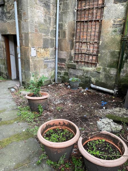 Devine Waste Services