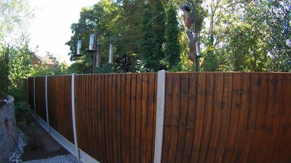 D.phillips Fencing