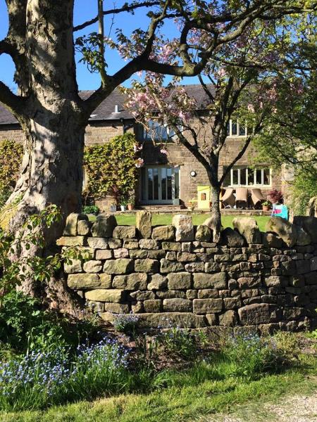 Tom Swinhoe Dry Stone Walling