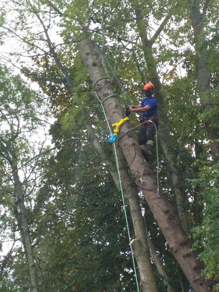 Ballantynes Tree Services