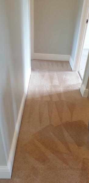 Advanced Carpet Cleaning Cheltenham