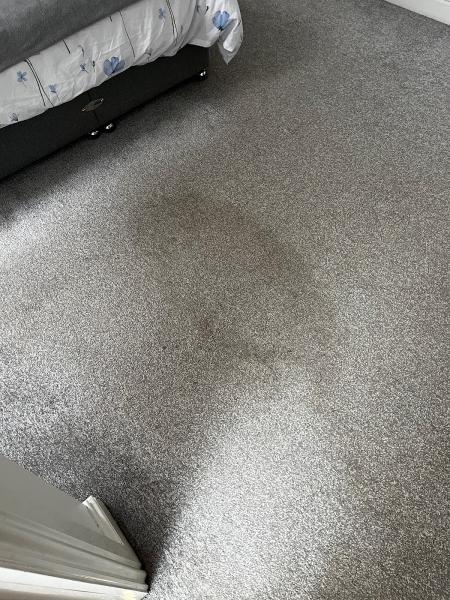 Belfast Carpet & Upholstery Cleaning Services