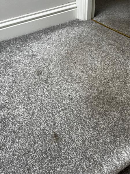 Belfast Carpet & Upholstery Cleaning Services