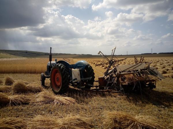 Benjamin Thompson Master Thatcher