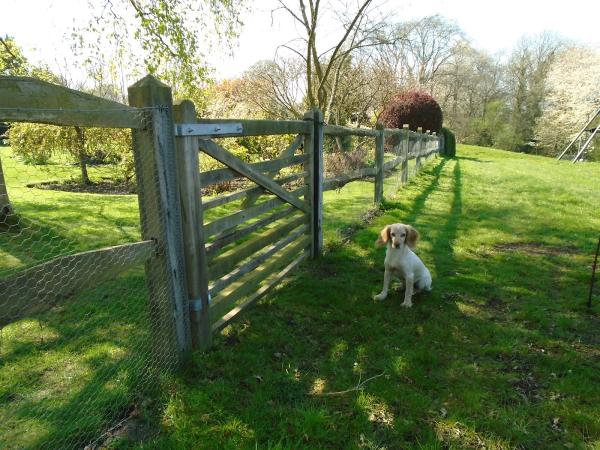 Petersfield Fencing Services