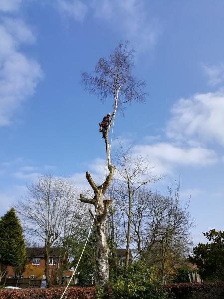 Garden Rescue Tree Services