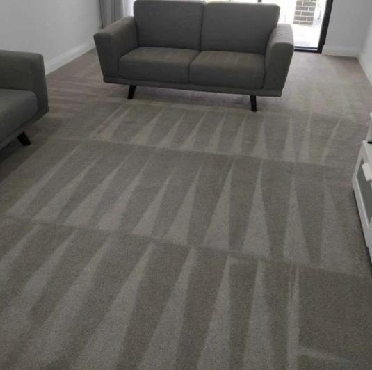 Steamx Carpet Clean