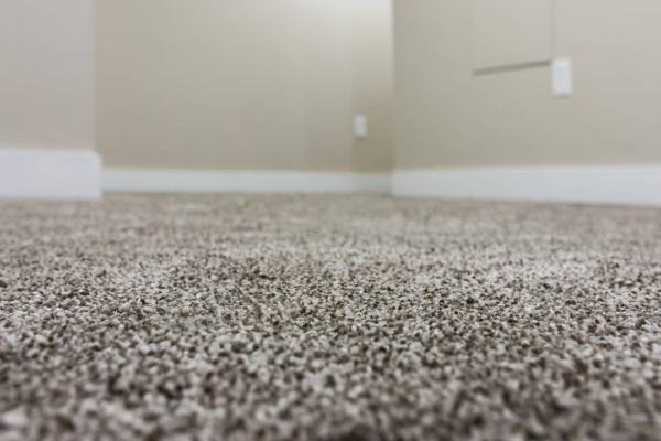 Feature Floors and Carpets