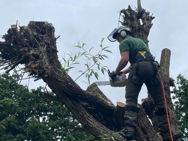 Oakwood Tree Surgery