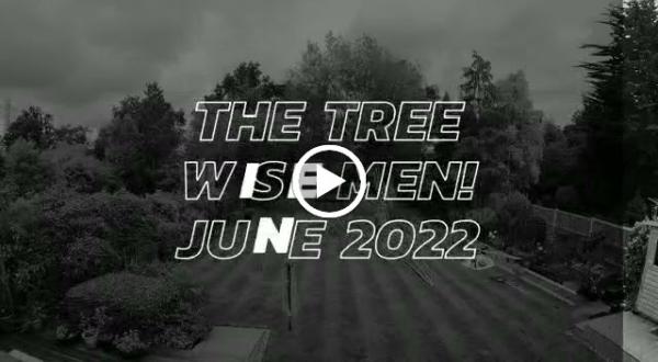 Oakwood Tree Surgery